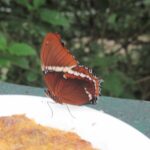 San Jose to Monteverde